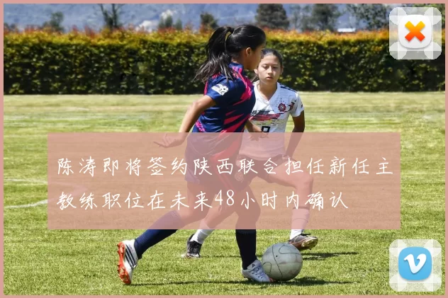 陈涛即将签约陕西联合担任新任主教练职位在未来48小时内确认